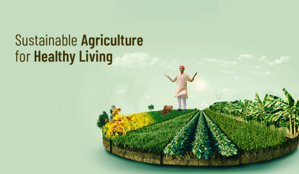 What Is Sustainable Agriculture?